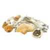 Buy Blue Meanies Mushrooms in stock now for sale, Albino Penis Envy Mushrooms for sale in canada, buy Golden Teacher Magic Mushroom.