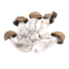Buy Code Blue Mushrooms in stock now for sale, Golden Teacher Magic Mushroom for sale in canada, Penis Envy Mushrooms for sale canada