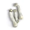 Buy APE Albino Penis Envy Mushrooms in stock now for sale, A+ Magic Mushrooms for sale, Albino Treasure Coast Magic Mushrooms for sale near you.